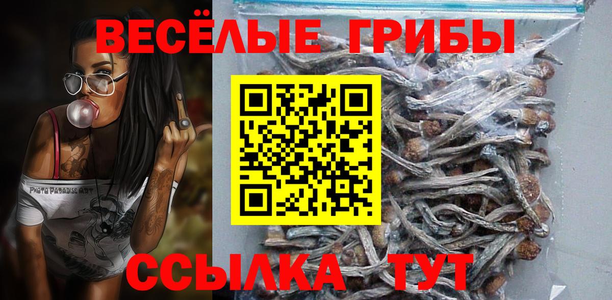 Прохладный  Галлюциногенные грибы мухоморы  Псилоцибиновые грибы GOLDEN TEACHER  Вход с VPN 